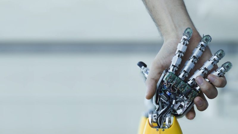 The Anatomy of a Robotic Cable